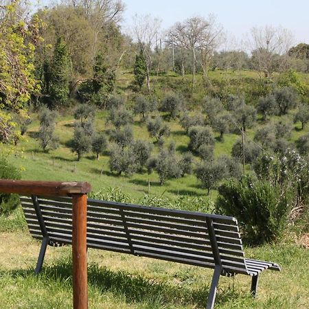 Fattoria San Donato Villa San Gimignano Luaran gambar